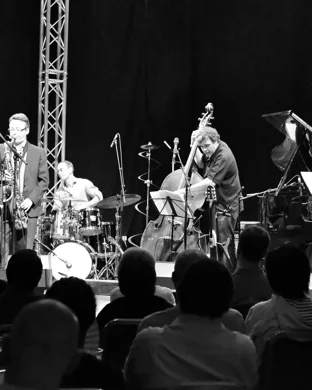 Live concert by Teddy Campbell