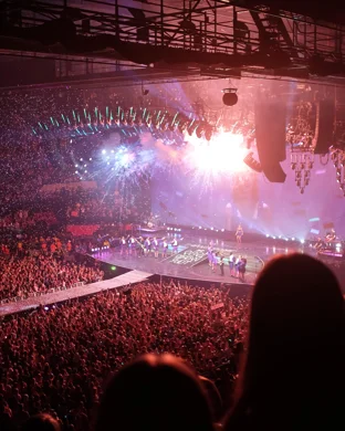 NY80: A Celebration of Neil Young and His Music