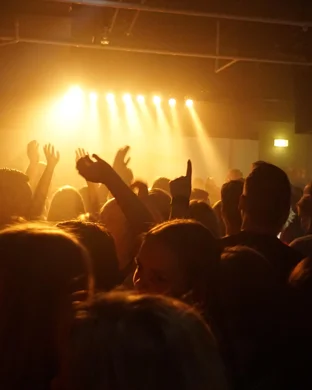 The Return of the Flock