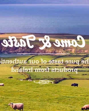 Live concert by A Taste Of Ireland: A Celtic Christmas