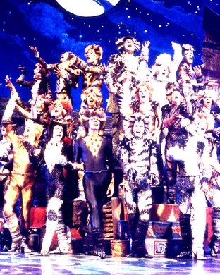 Cats - The Musical Skokie
