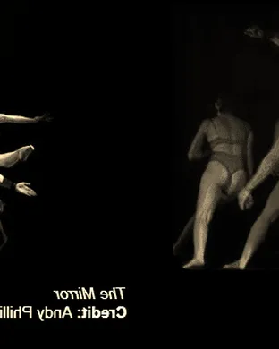Gravity and Other Myths