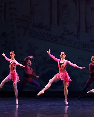 International Ballet Stars: Swan Lake