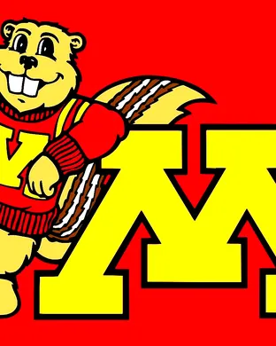 Minnesota Golden Gophers vs. Northwestern Wildcats