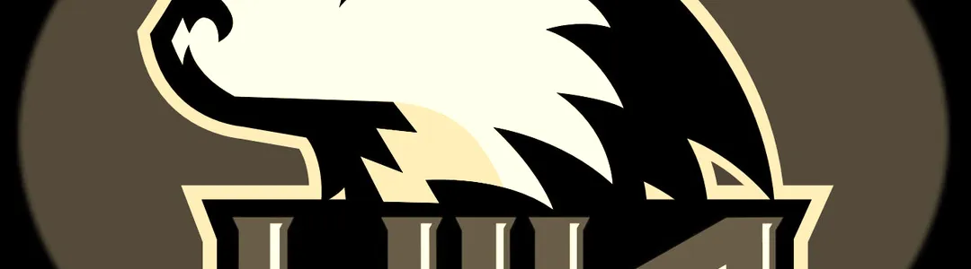 Northern Illinois Huskies