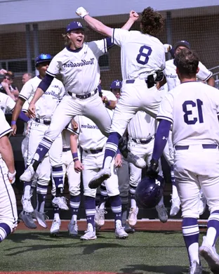 Northwestern Wildcats Baseball