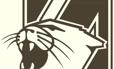 Northwestern Wildcats