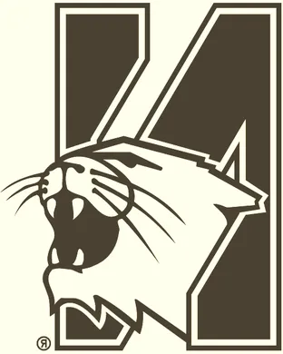 Northwestern Wildcats vs. Purdue Boilermakers sports event