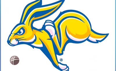 South Dakota State Jackrabbits Football