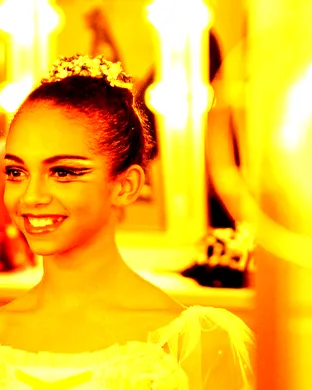 World Ballet Company: Swan Lake